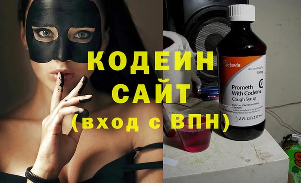 ECSTASY Богданович